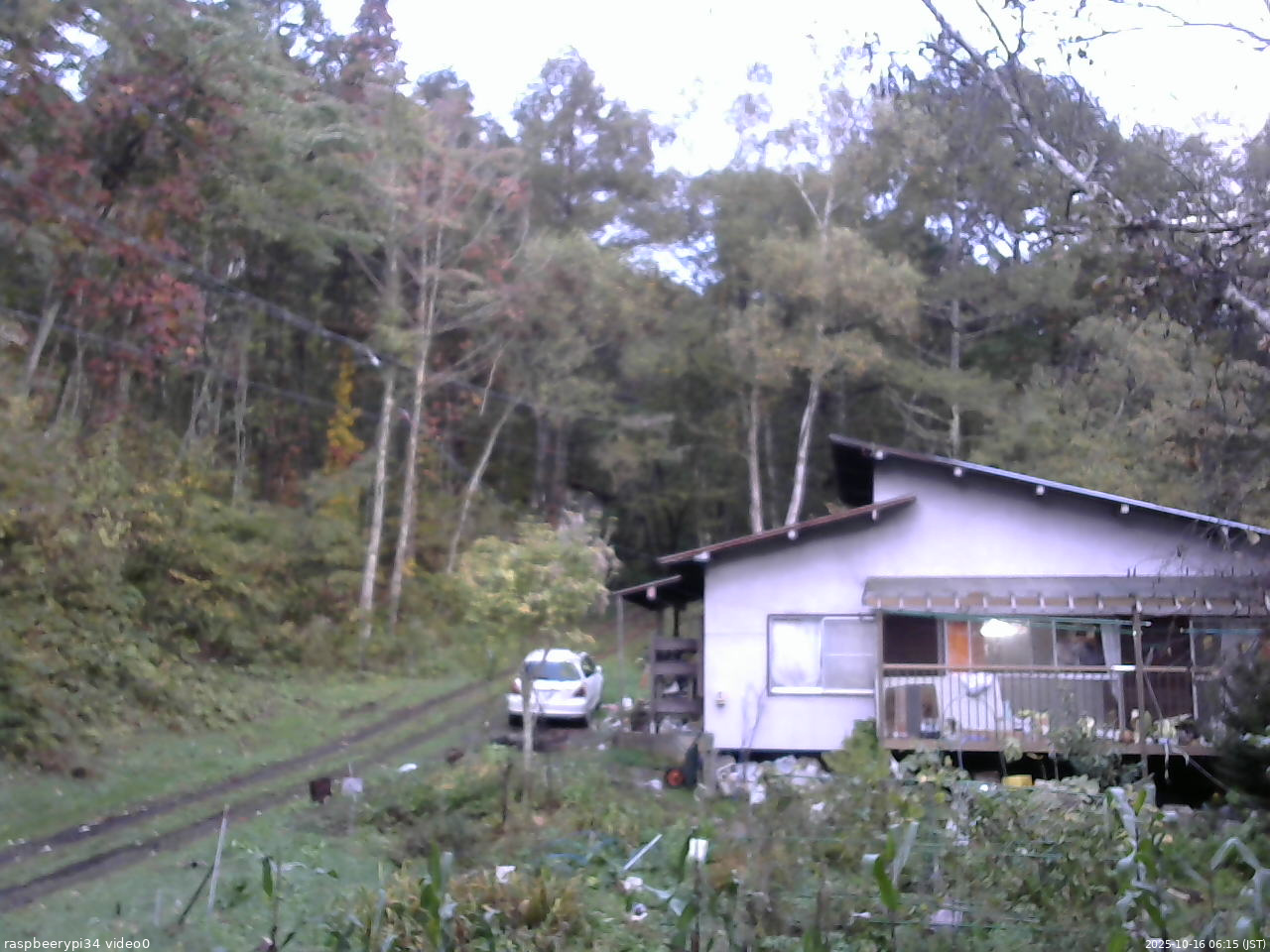 長野県菅平高原 ゆたか山荘 西側(坂上) 2025/10/16 06:15