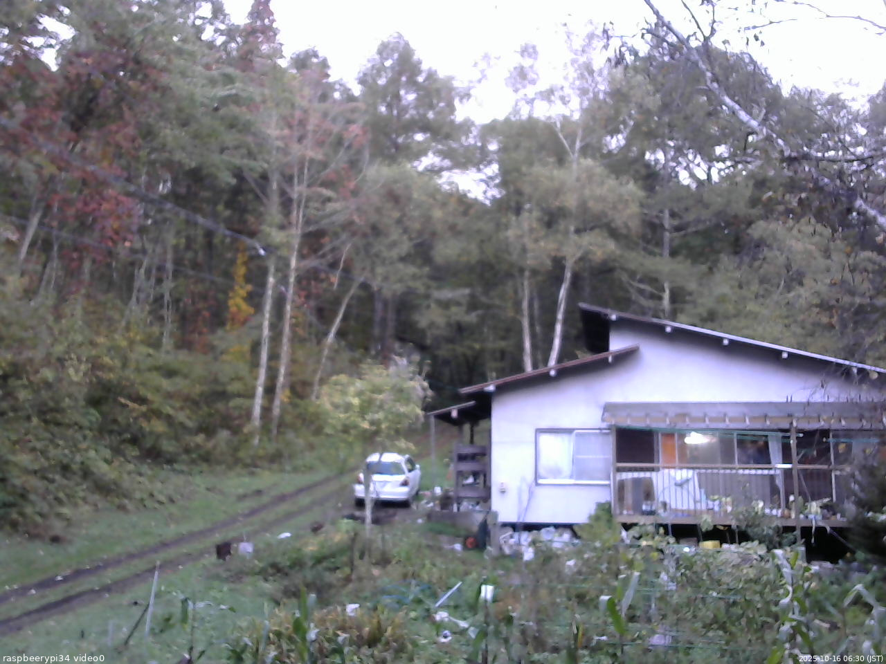 長野県菅平高原 ゆたか山荘 西側(坂上) 2025/10/16 06:30