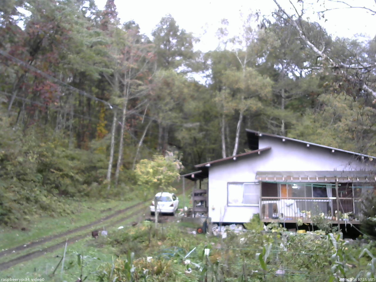 長野県菅平高原 ゆたか山荘 西側(坂上) 2025/10/16 07:15