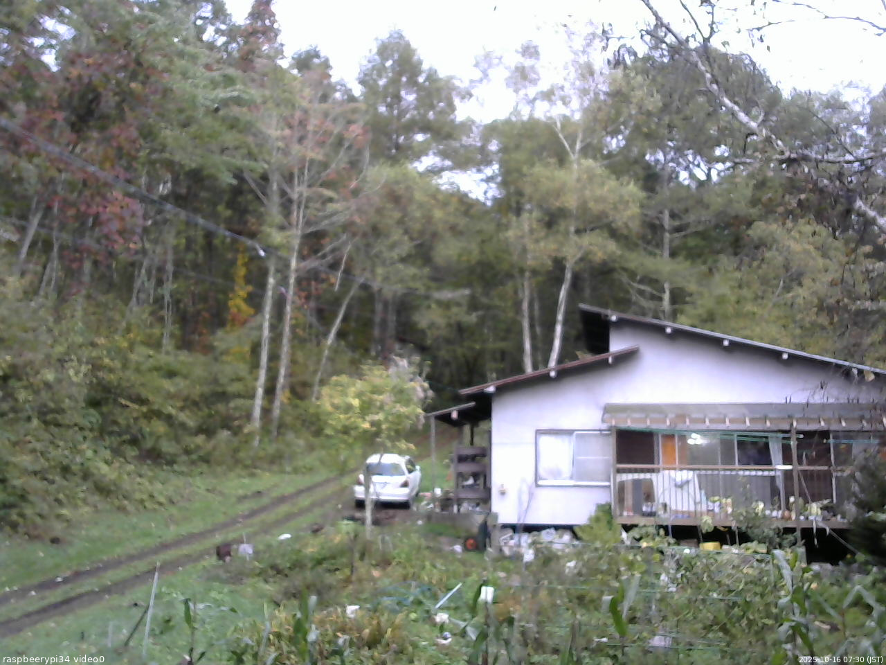 長野県菅平高原 ゆたか山荘 西側(坂上) 2025/10/16 07:30