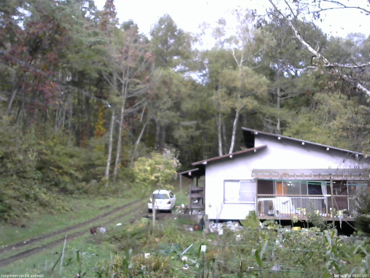 長野県菅平高原 ゆたか山荘 西側(坂上) 2025/10/16 08:00