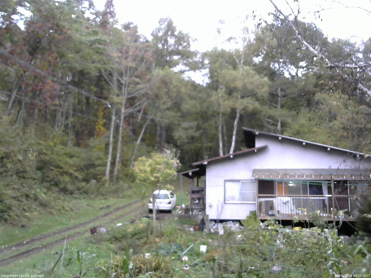 長野県菅平高原 ゆたか山荘 西側(坂上) 2025/10/16 09:15