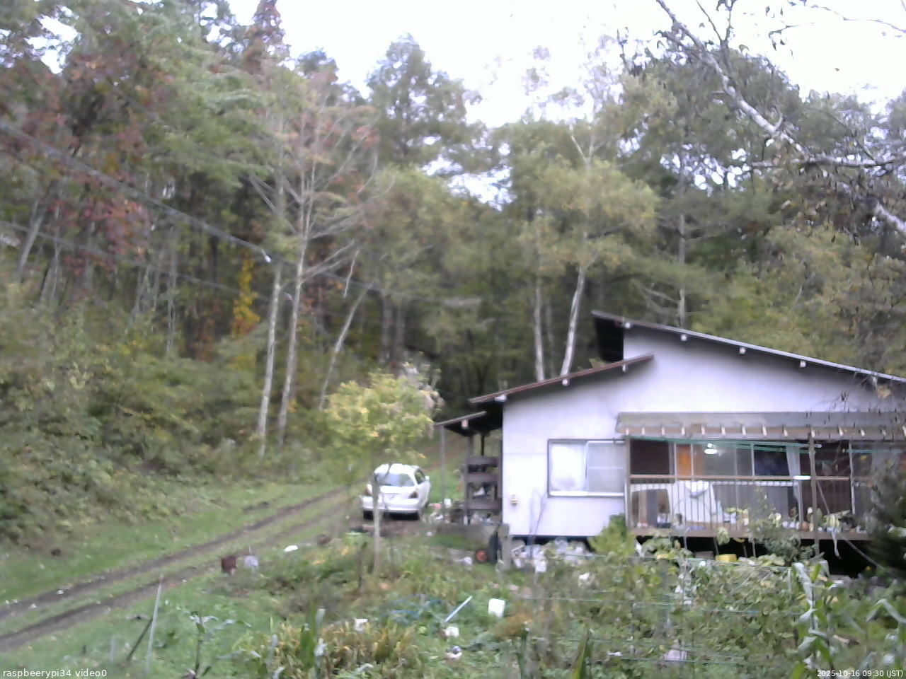 長野県菅平高原 ゆたか山荘 西側(坂上) 2025/10/16 09:30