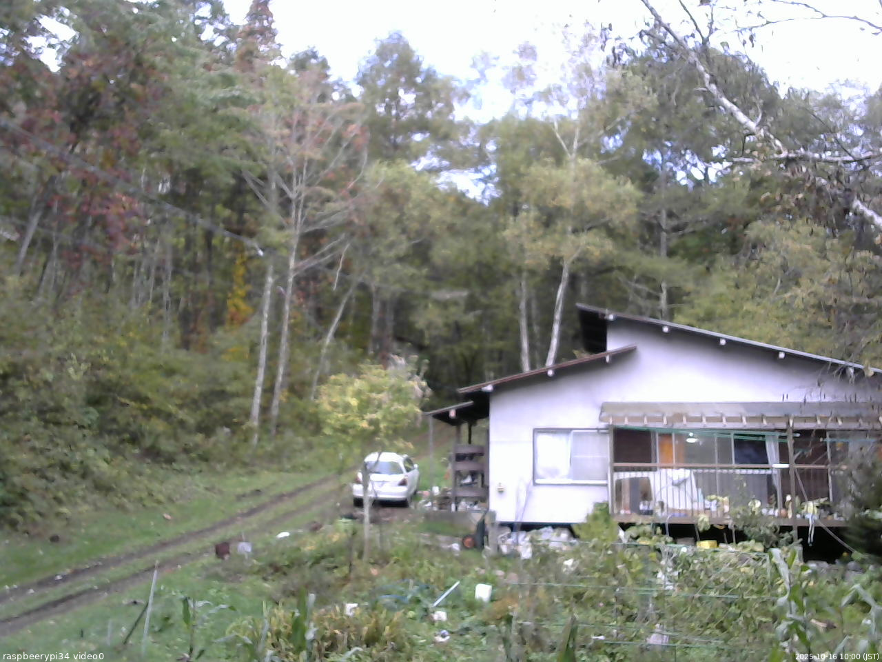 長野県菅平高原 ゆたか山荘 西側(坂上) 2025/10/16 10:00