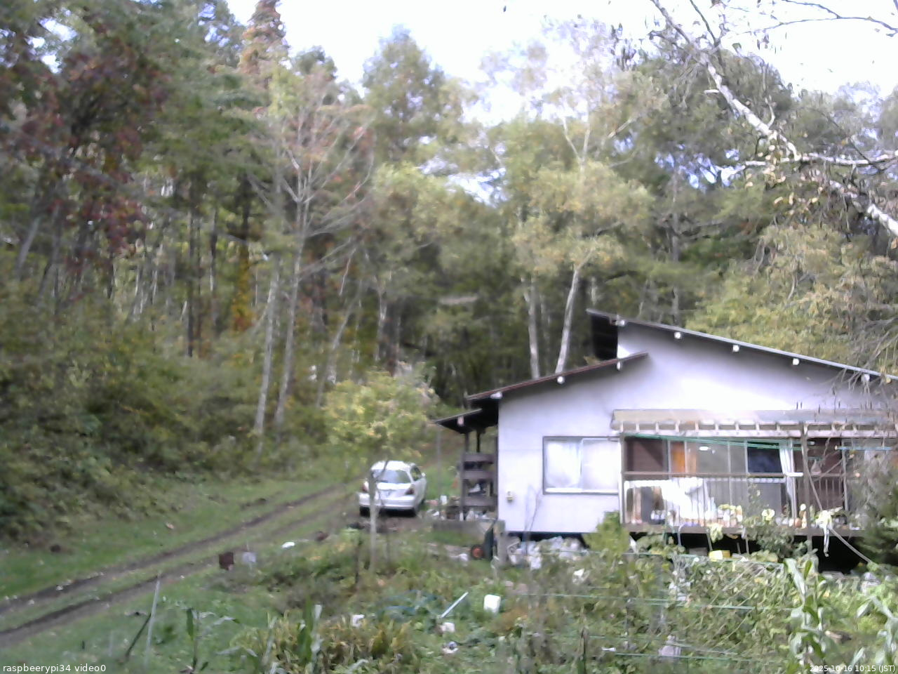 長野県菅平高原 ゆたか山荘 西側(坂上) 2025/10/16 10:15