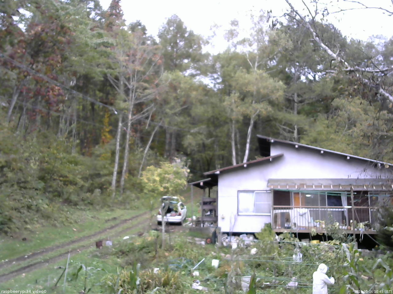 長野県菅平高原 ゆたか山荘 西側(坂上) 2025/10/16 10:45