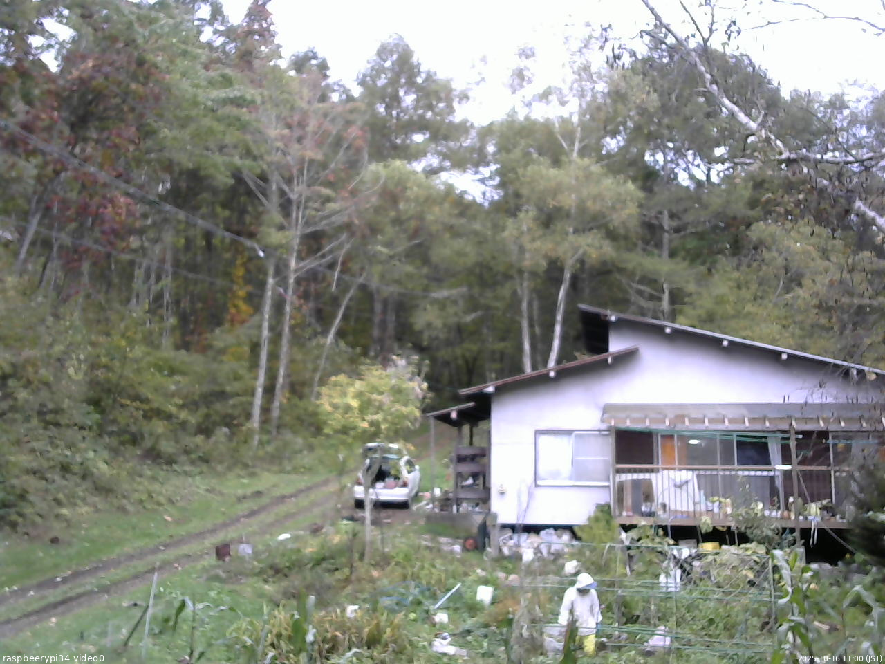 長野県菅平高原 ゆたか山荘 西側(坂上) 2025/10/16 11:00