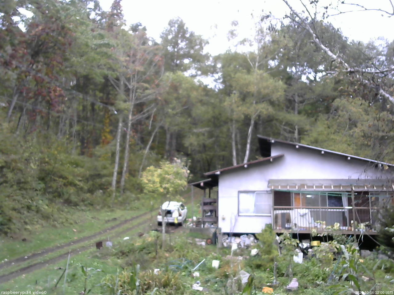 長野県菅平高原 ゆたか山荘 西側(坂上) 2025/10/16 12:00