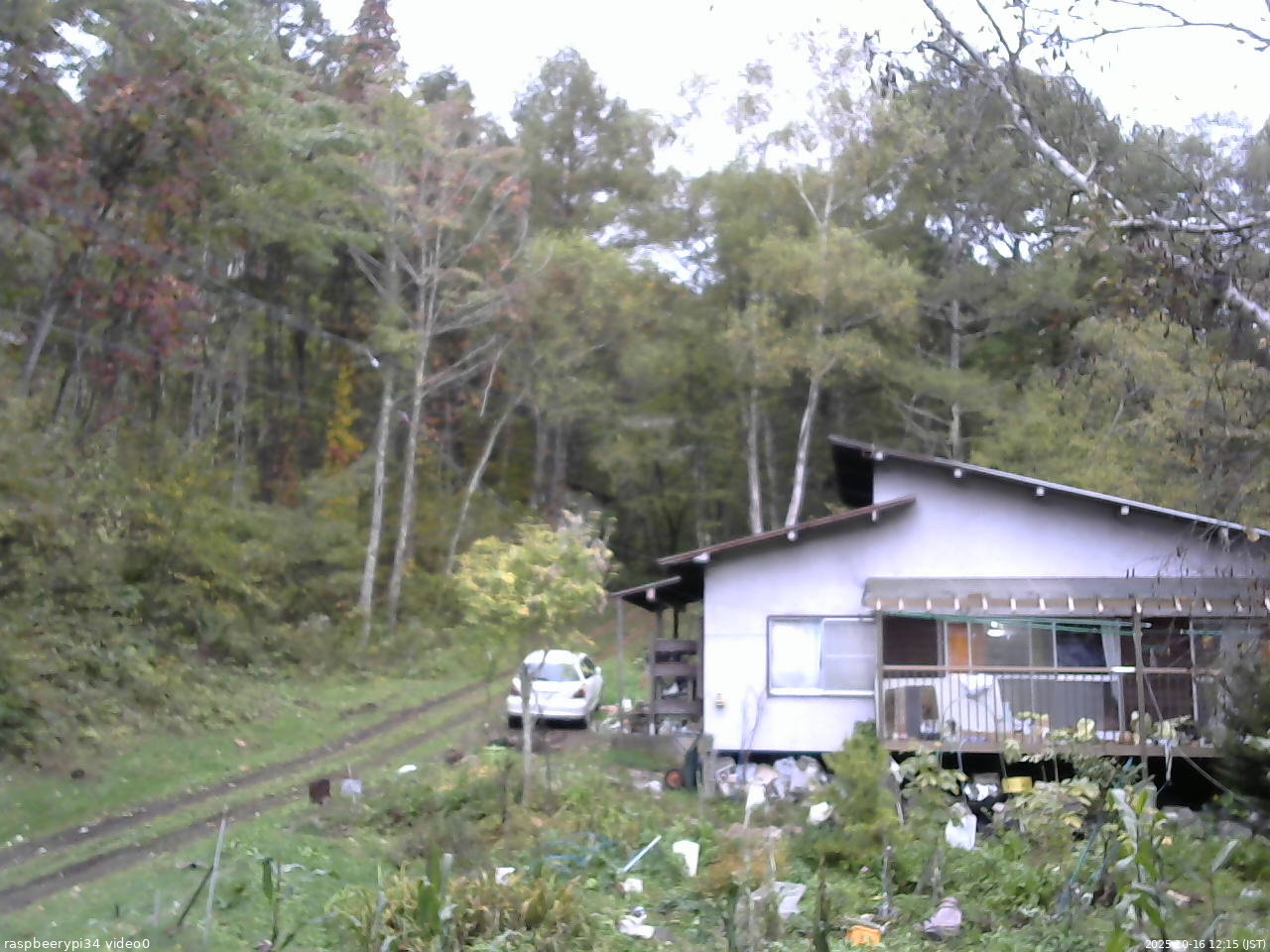 長野県菅平高原 ゆたか山荘 西側(坂上) 2025/10/16 12:15
