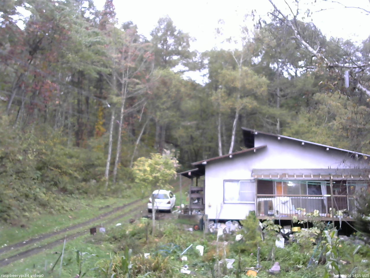 長野県菅平高原 ゆたか山荘 西側(坂上) 2025/10/16 14:15