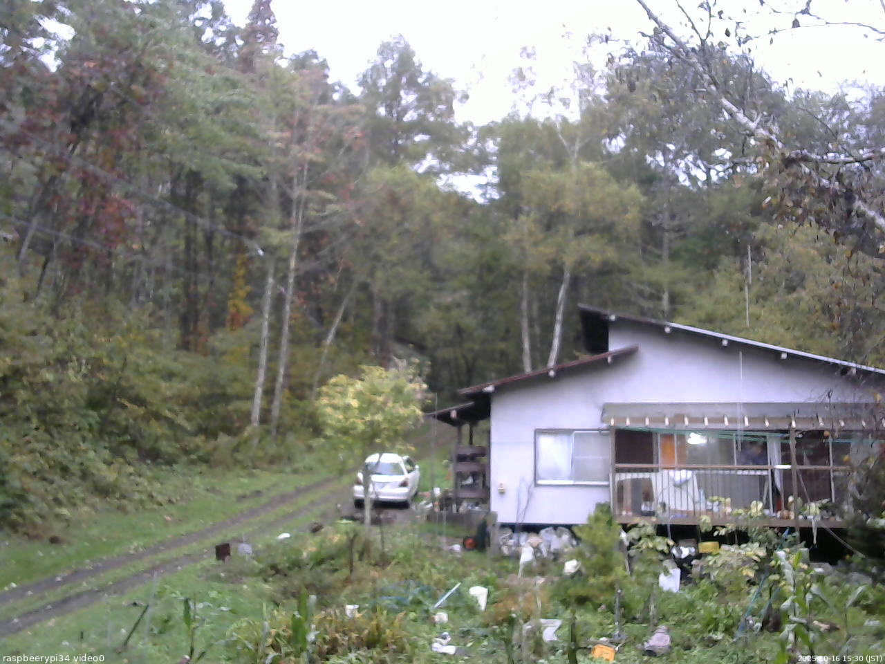 長野県菅平高原 ゆたか山荘 西側(坂上) 2025/10/16 15:30