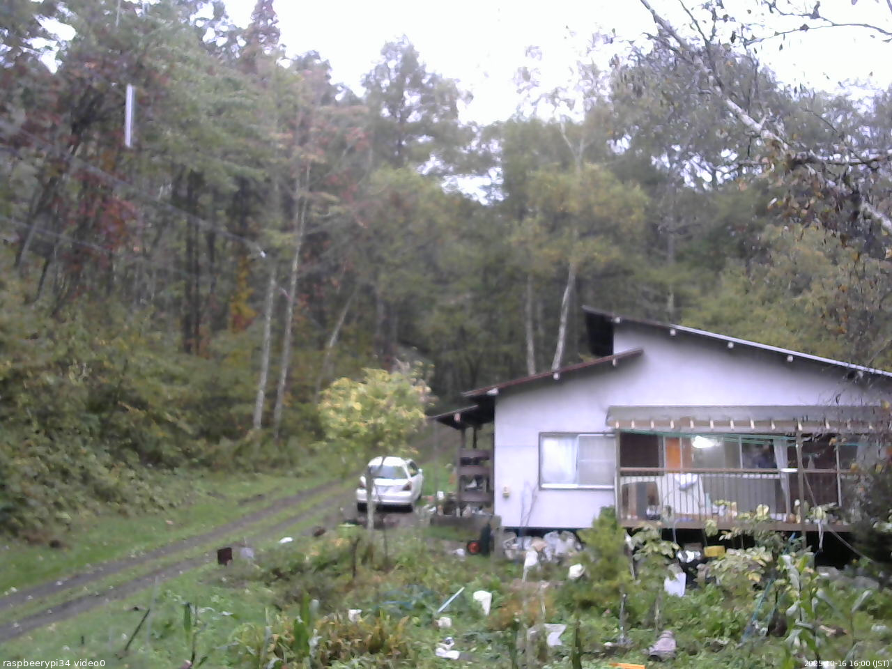 長野県菅平高原 ゆたか山荘 西側(坂上) 2025/10/16 16:00