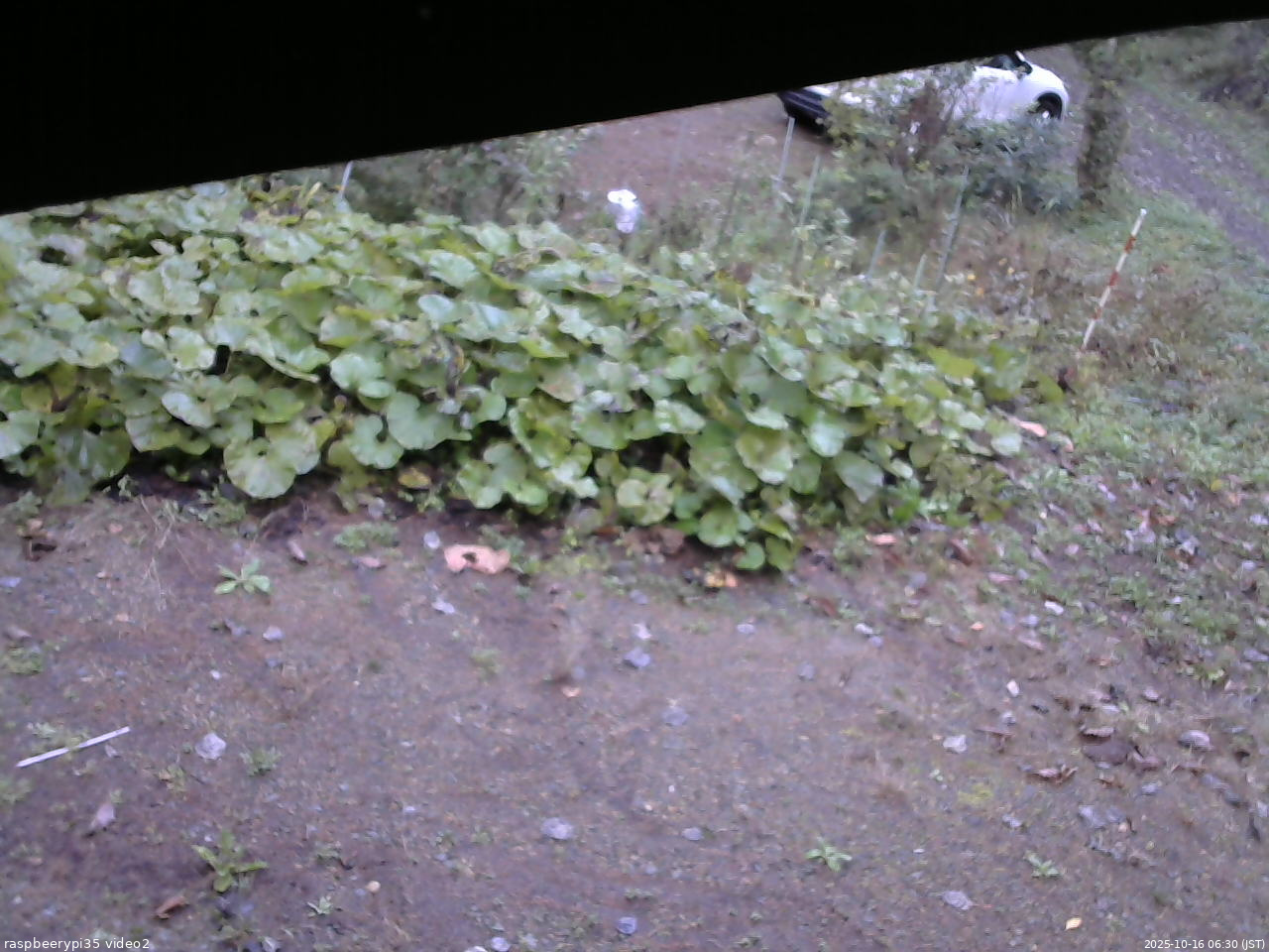 長野県菅平高原 ゆたか山荘 駐車場 2025/10/16 06:30