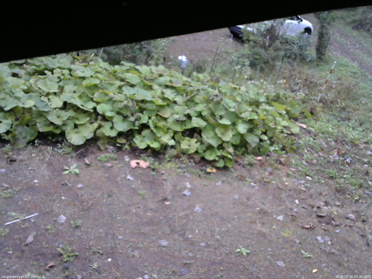 長野県菅平高原 ゆたか山荘 駐車場 2025/10/16 07:30