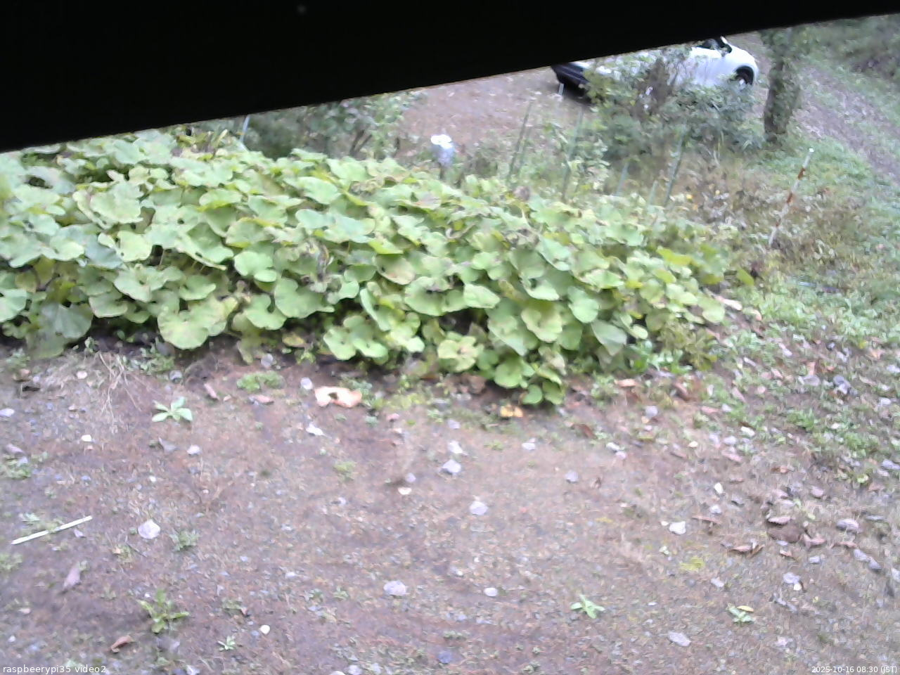 長野県菅平高原 ゆたか山荘 駐車場 2025/10/16 08:30