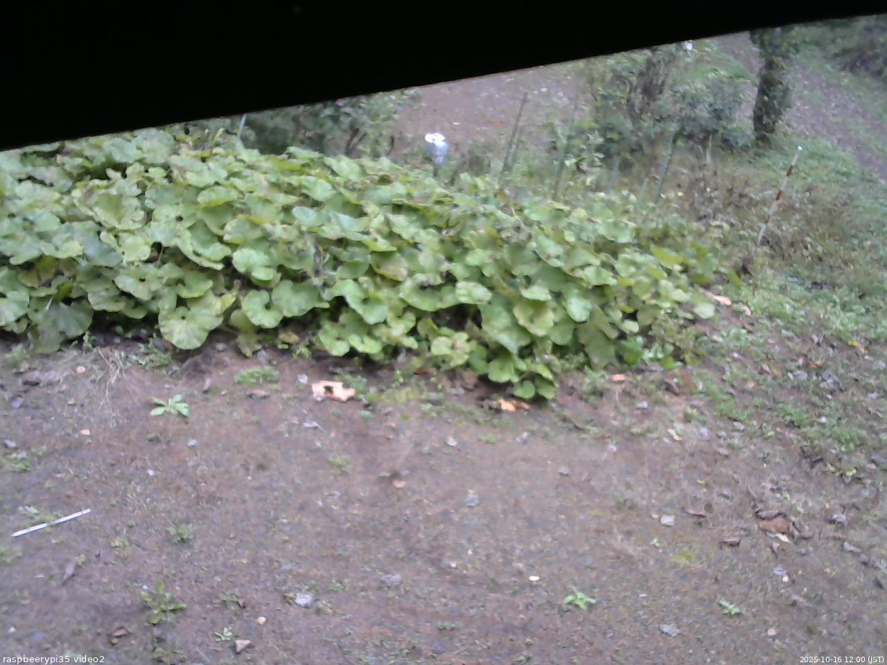 長野県菅平高原 ゆたか山荘 駐車場 2025/10/16 12:00