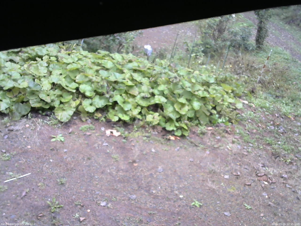 長野県菅平高原 ゆたか山荘 駐車場 2025/10/16 12:15