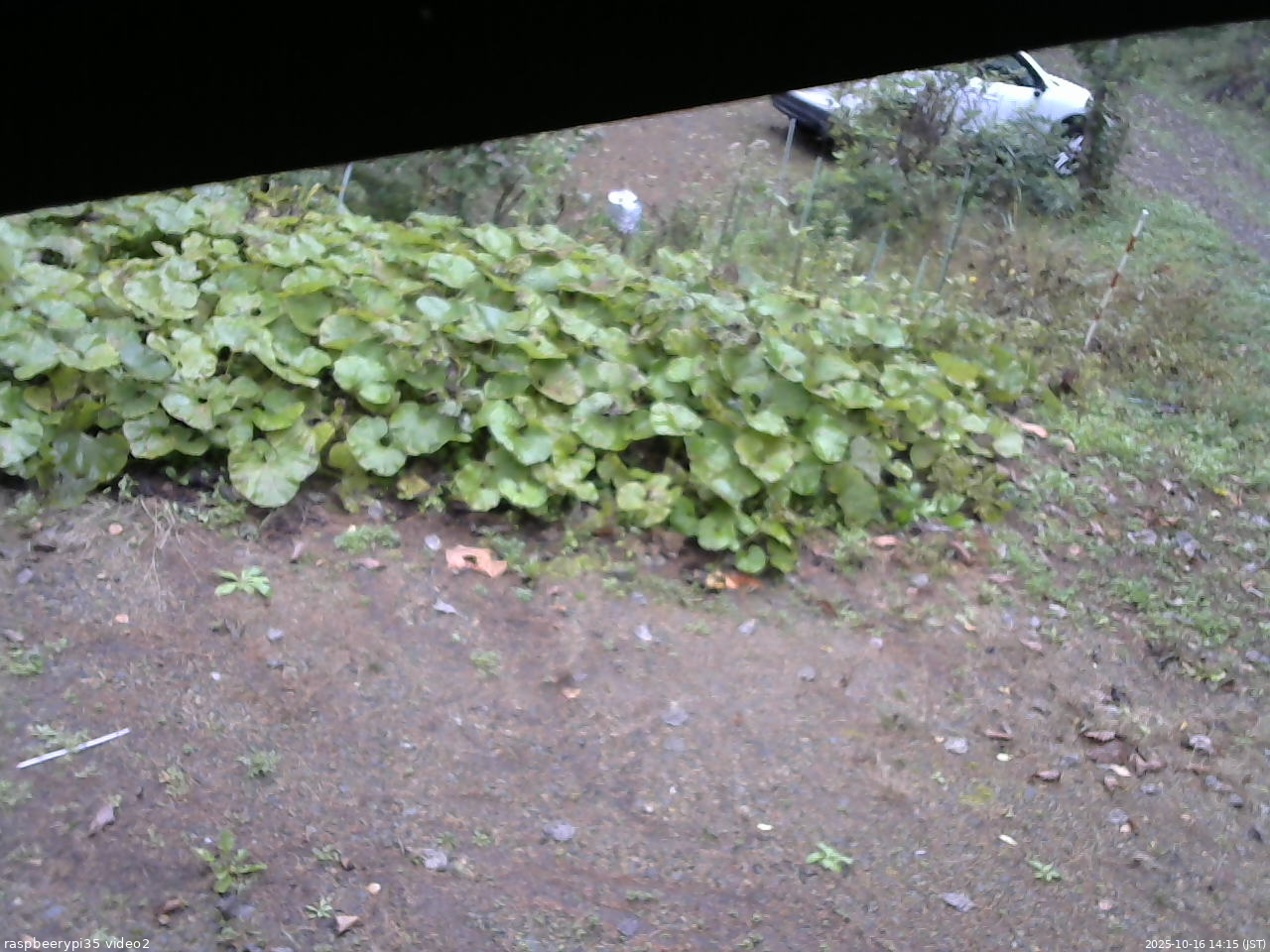 長野県菅平高原 ゆたか山荘 駐車場 2025/10/16 14:15