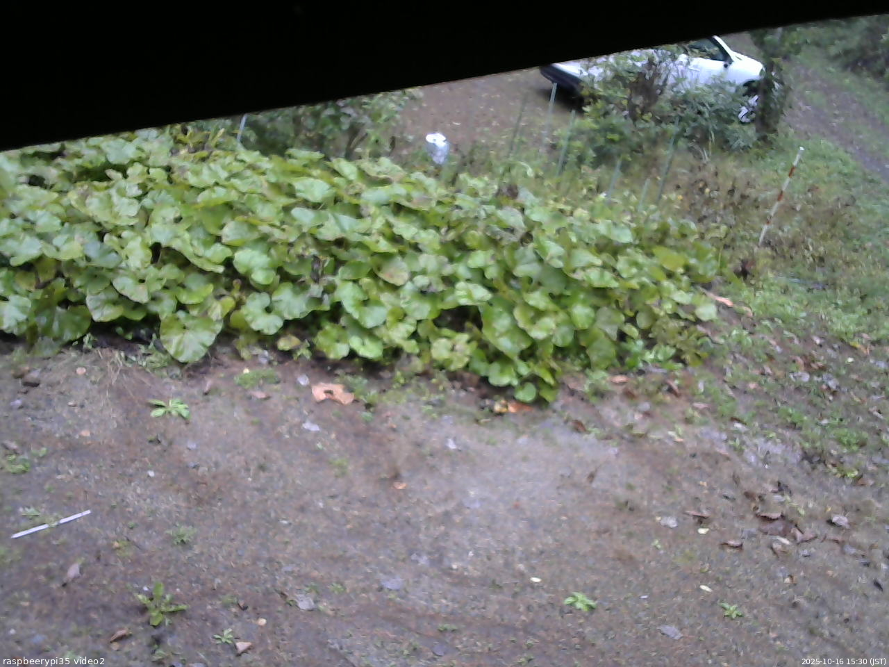 長野県菅平高原 ゆたか山荘 駐車場 2025/10/16 15:30
