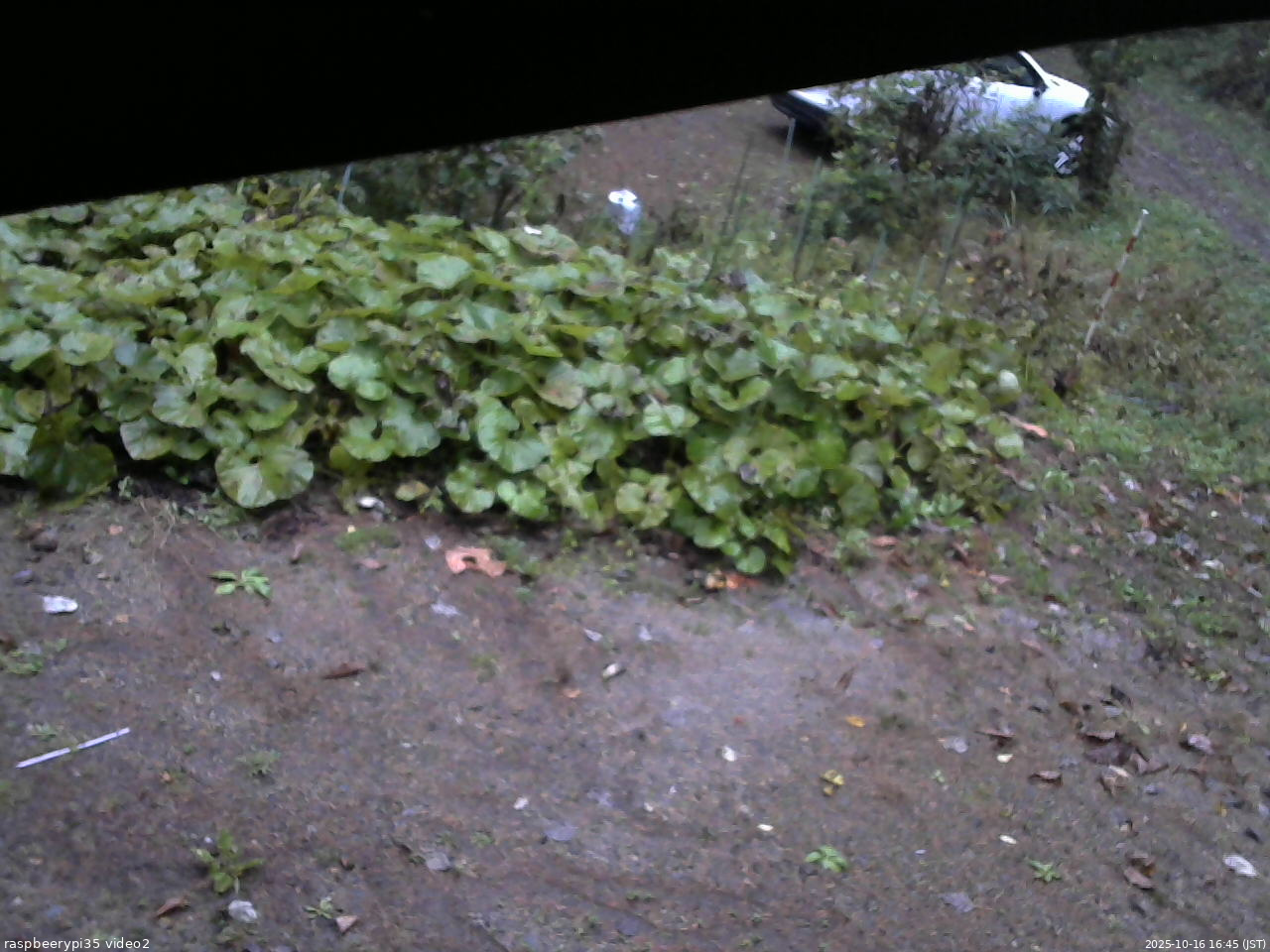 長野県菅平高原 ゆたか山荘 駐車場 2025/10/16 16:45