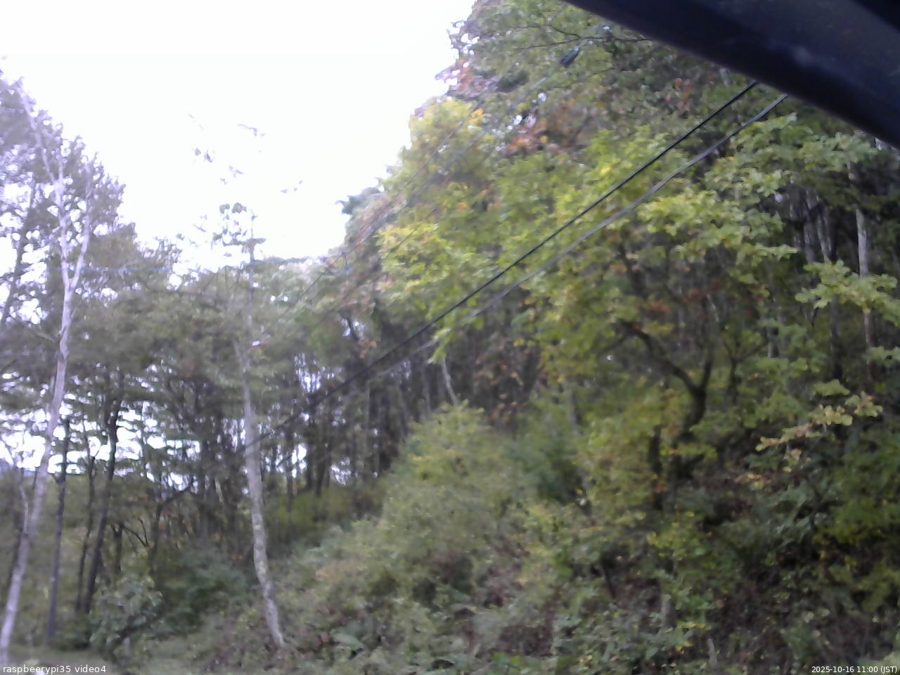 長野県菅平高原 ゆたか山荘 東側上空 2025/10/16 11:00