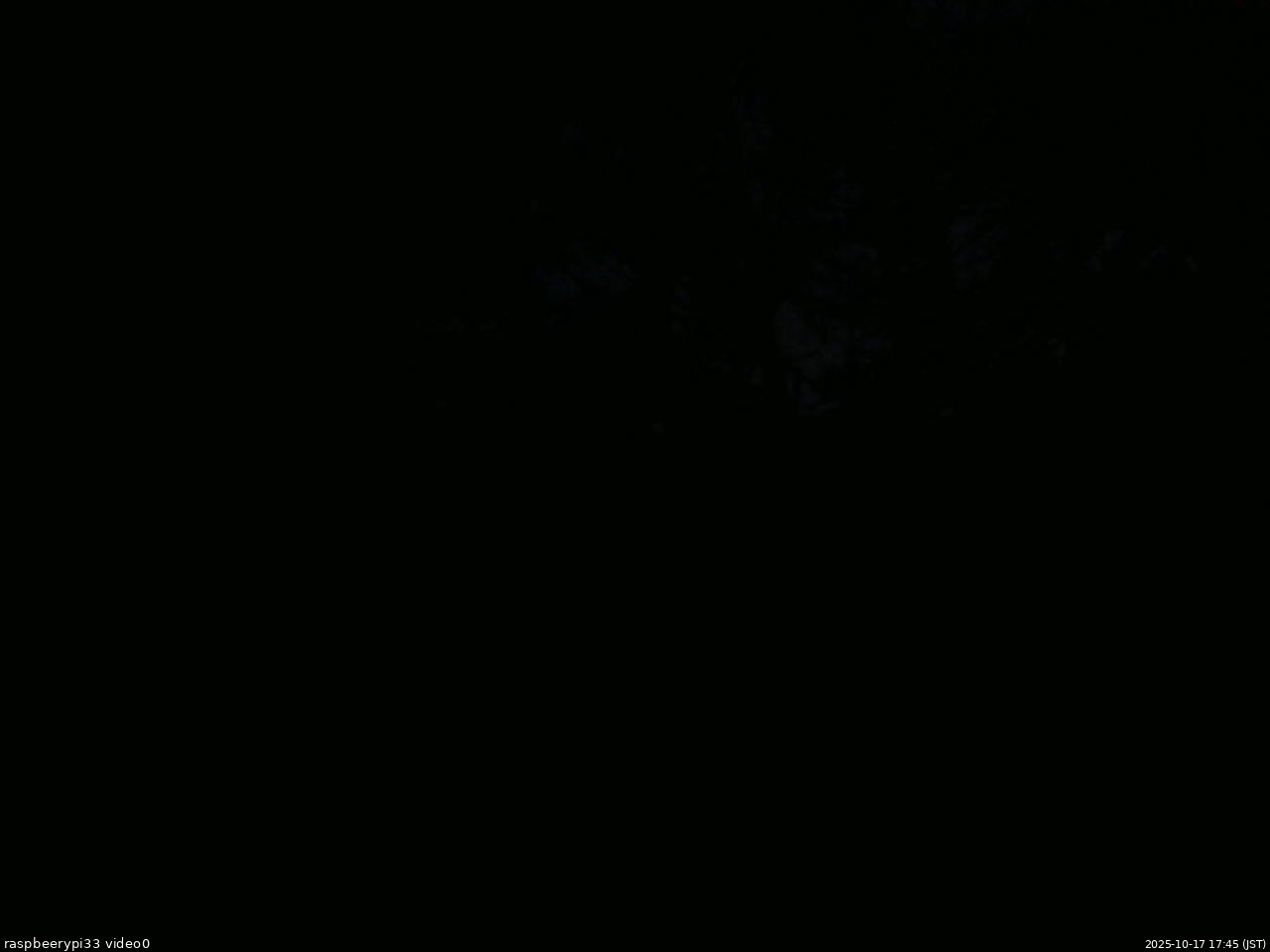 長野県菅平高原 ゆたか山荘 北側 2025/10/17 17:45