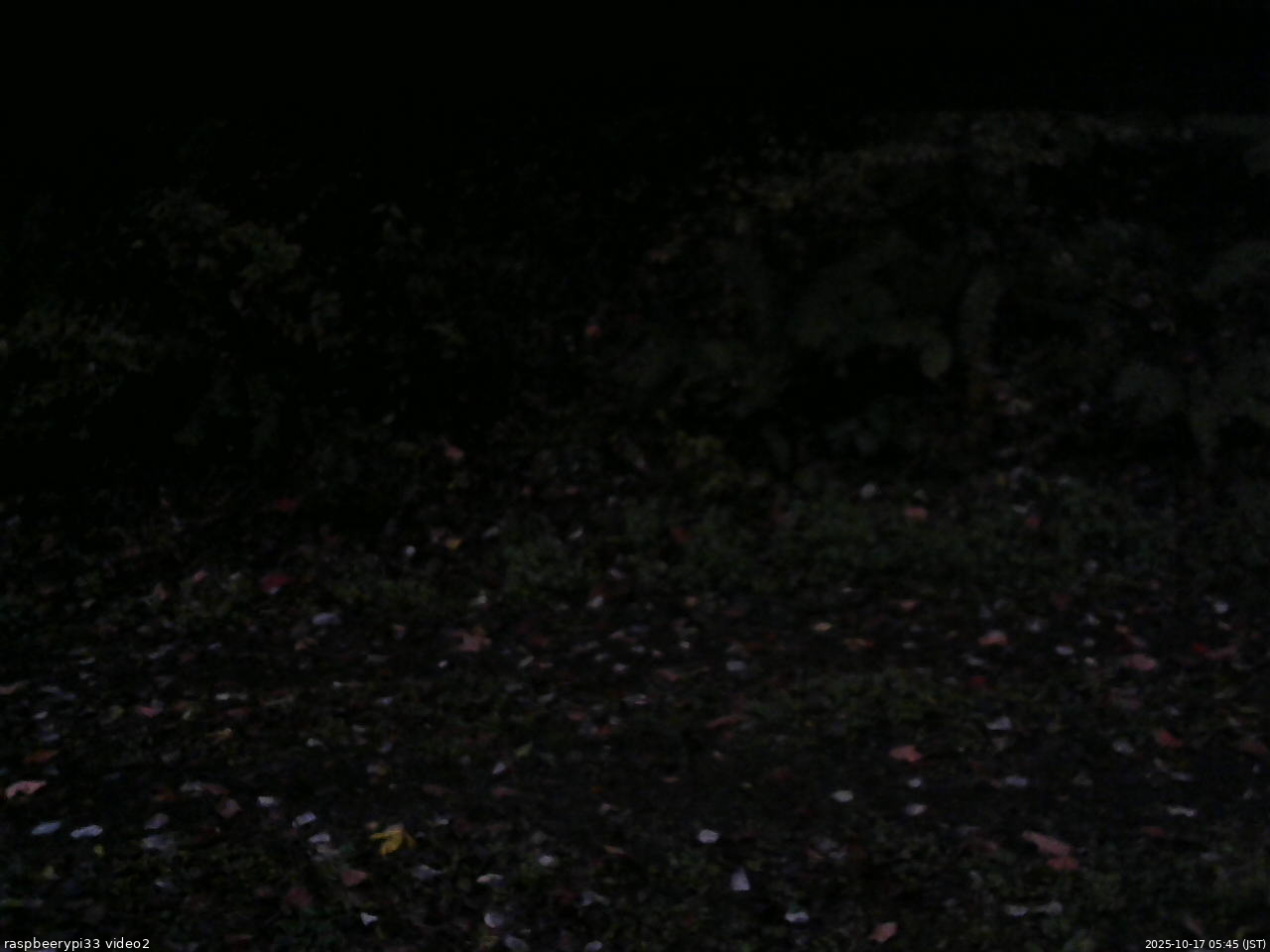 長野県菅平高原 ゆたか山荘 南側 2025/10/17 05:45