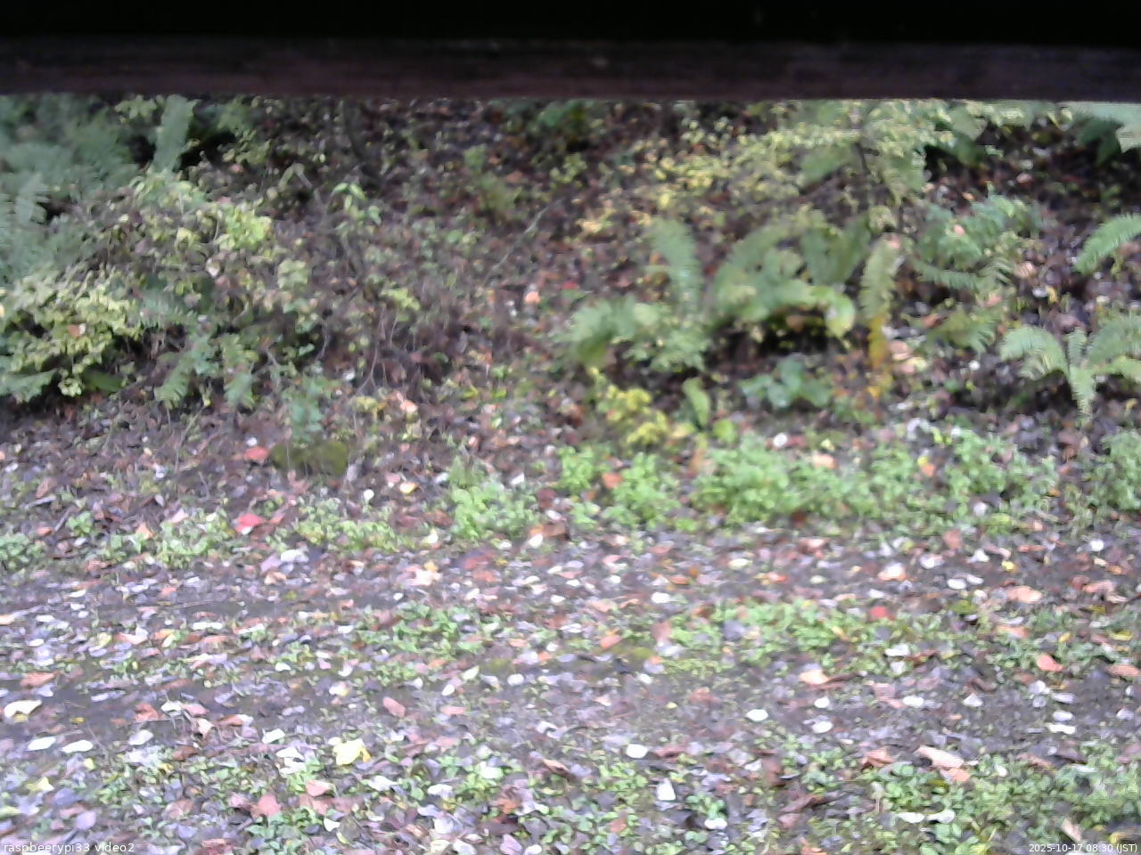 長野県菅平高原 ゆたか山荘 南側 2025/10/17 08:30