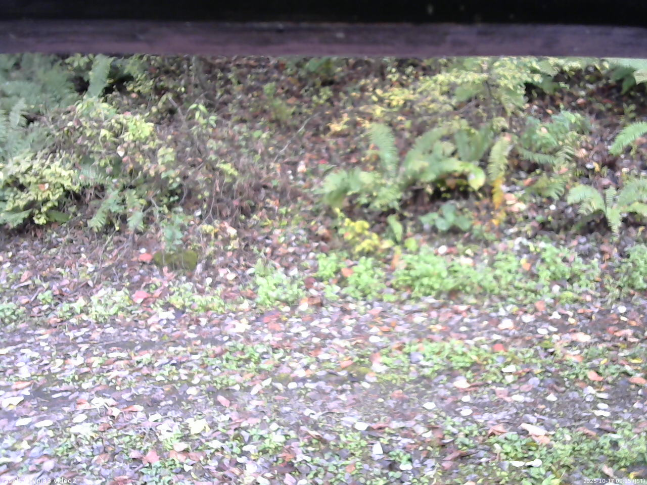長野県菅平高原 ゆたか山荘 南側 2025/10/17 09:15