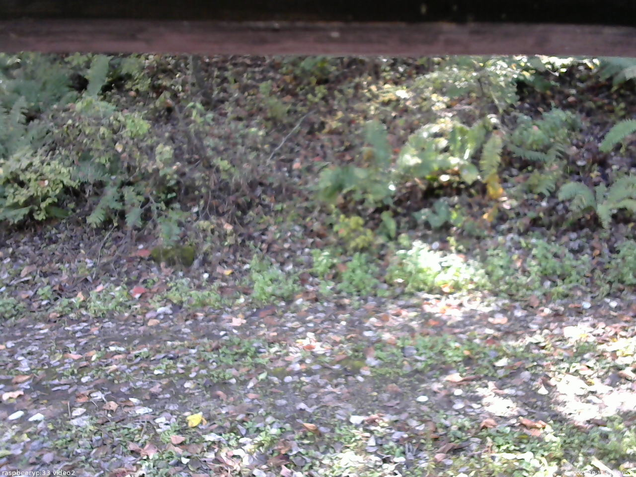 長野県菅平高原 ゆたか山荘 南側 2025/10/17 11:30