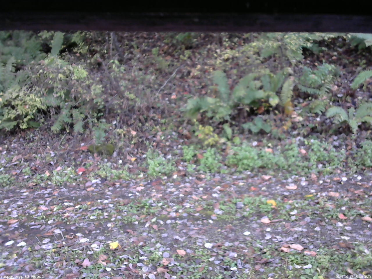 長野県菅平高原 ゆたか山荘 南側 2025/10/17 15:30