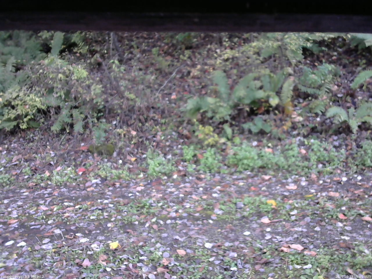 長野県菅平高原 ゆたか山荘 南側 2025/10/17 15:45