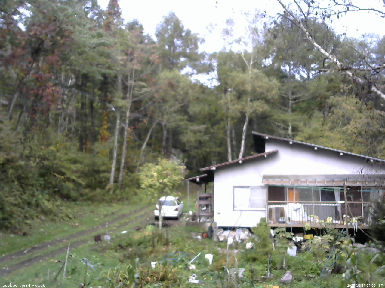 長野県菅平高原 ゆたか山荘 西側(坂上) 2025/10/17 07:00