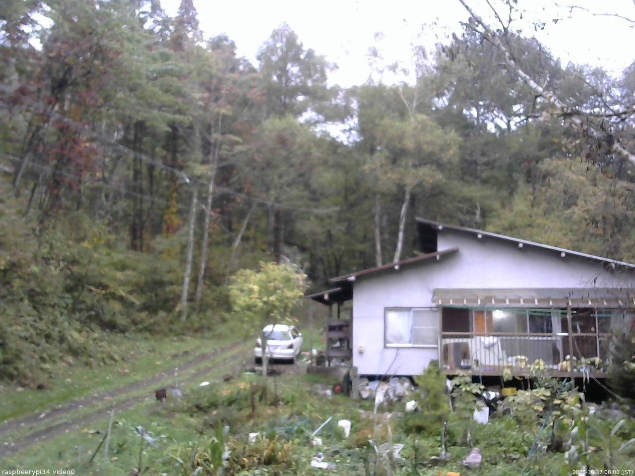 長野県菅平高原 ゆたか山荘 西側(坂上) 2025/10/17 08:00