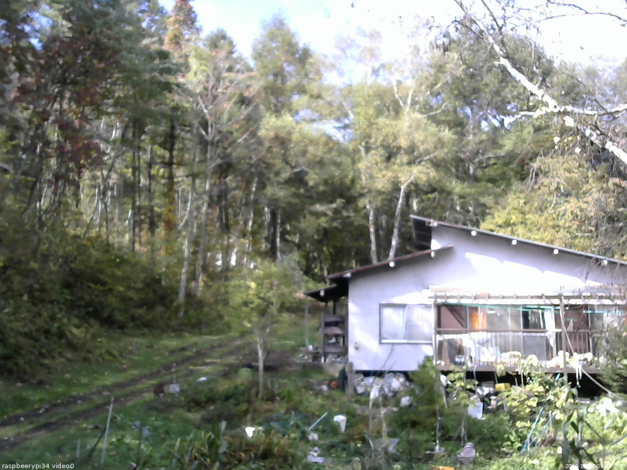長野県菅平高原 ゆたか山荘 西側(坂上) 2025/10/17 09:45