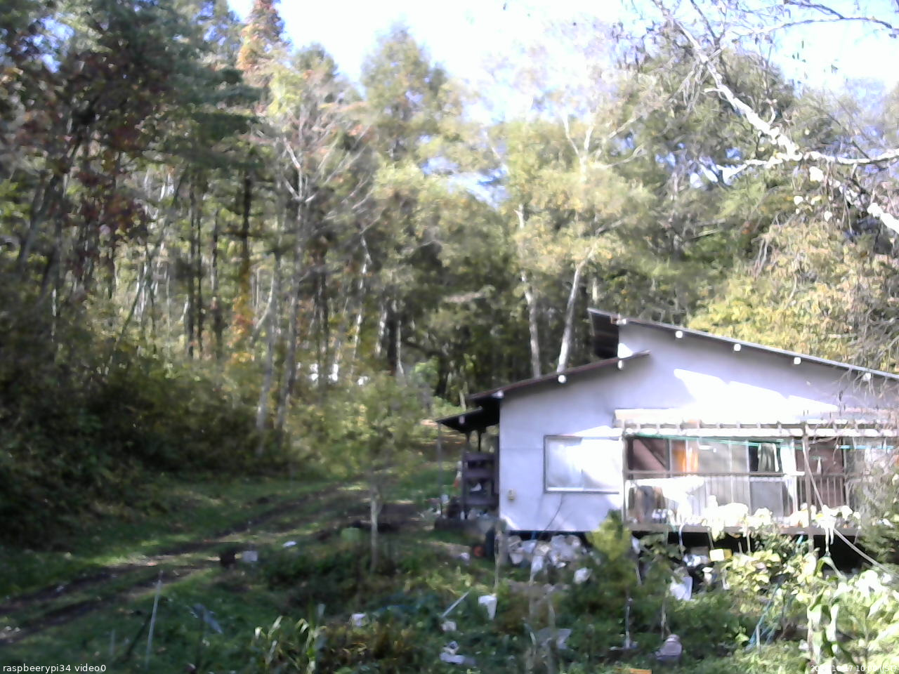 長野県菅平高原 ゆたか山荘 西側(坂上) 2025/10/17 10:00