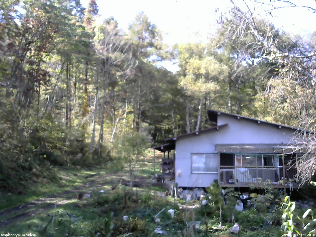 長野県菅平高原 ゆたか山荘 西側(坂上) 2025/10/17 12:00