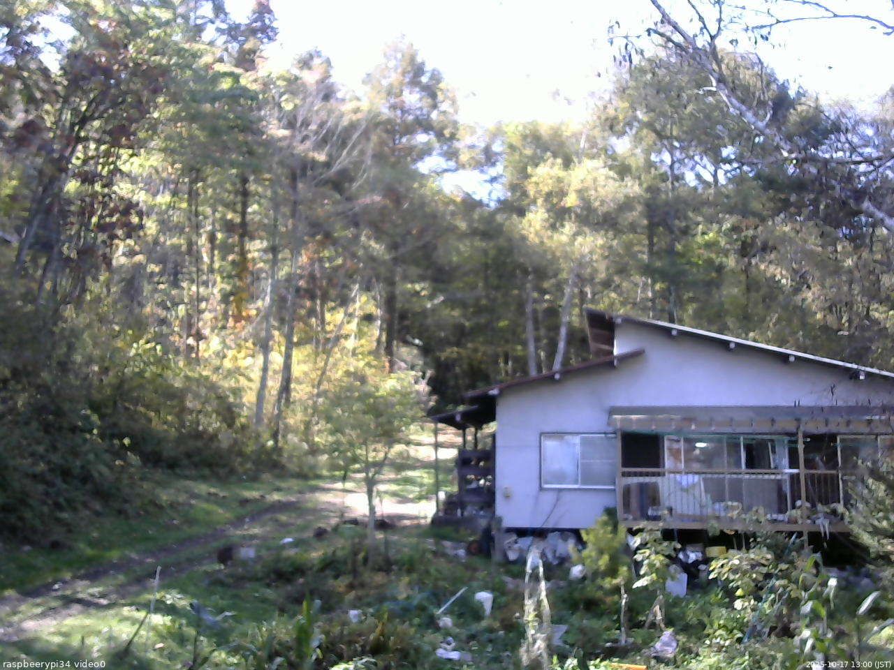 長野県菅平高原 ゆたか山荘 西側(坂上) 2025/10/17 13:00