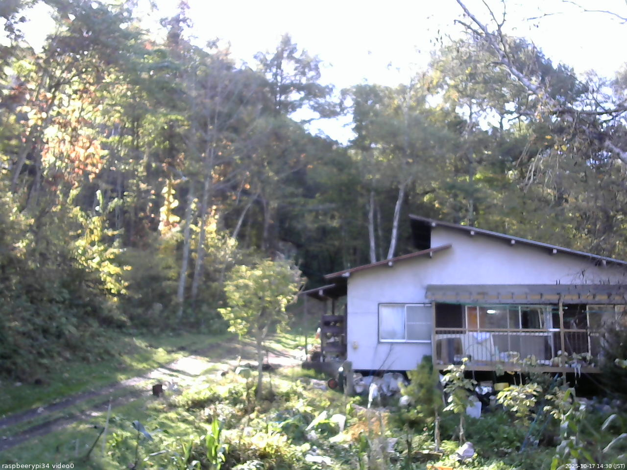 長野県菅平高原 ゆたか山荘 西側(坂上) 2025/10/17 14:30