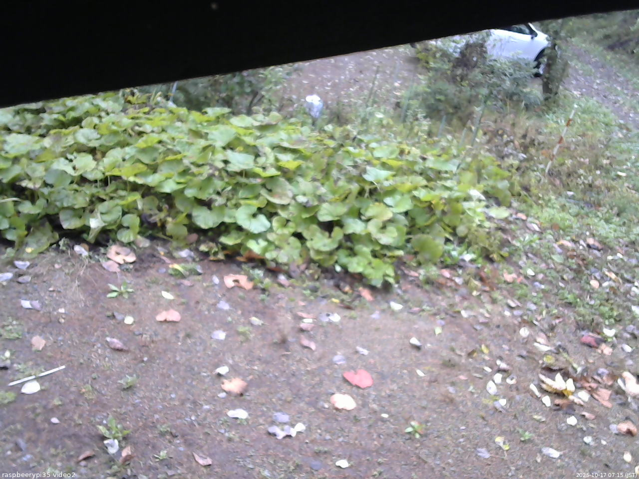 長野県菅平高原 ゆたか山荘 駐車場 2025/10/17 07:15