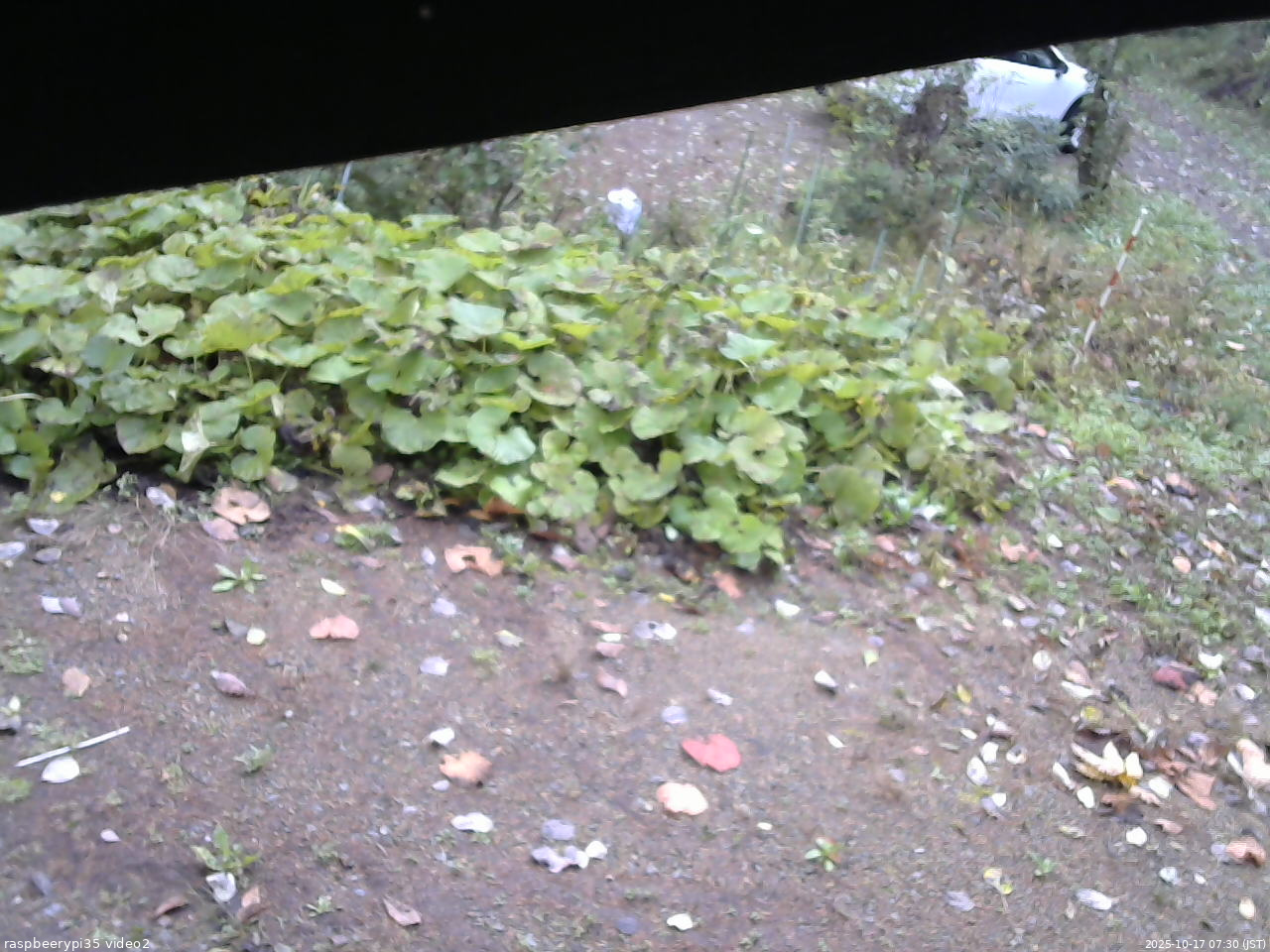 長野県菅平高原 ゆたか山荘 駐車場 2025/10/17 07:30