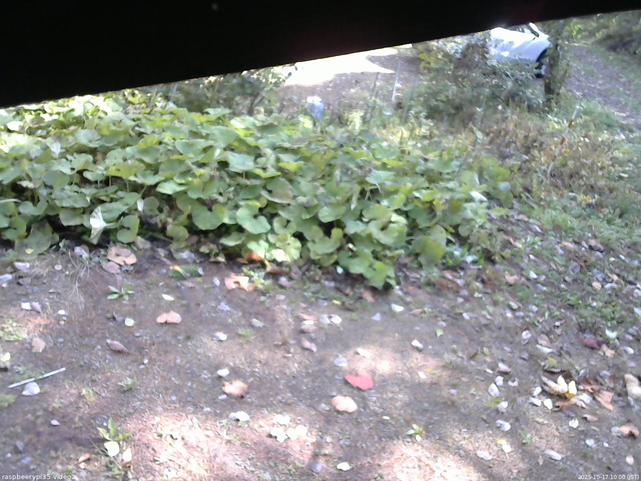 長野県菅平高原 ゆたか山荘 駐車場 2025/10/17 10:00