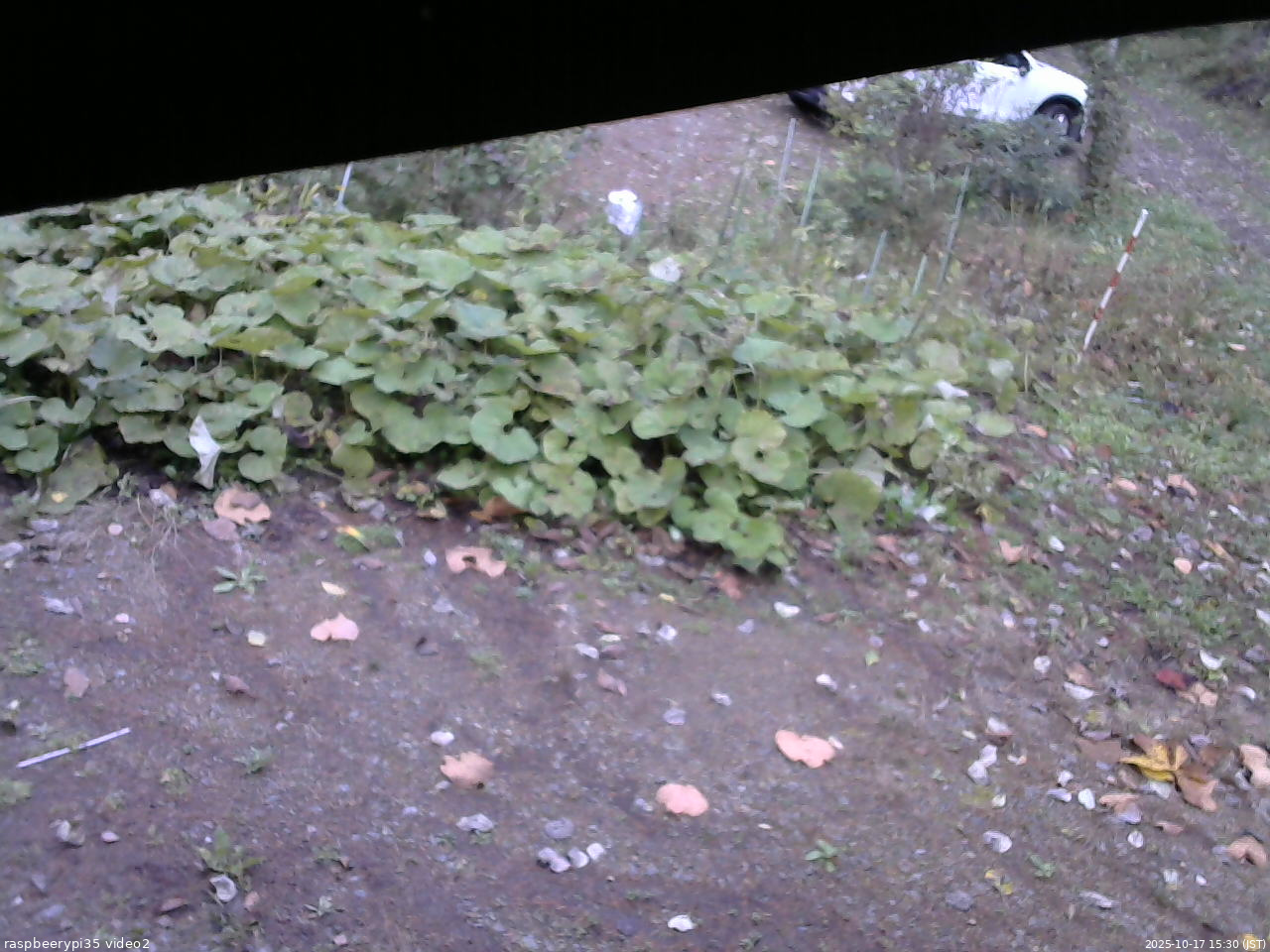 長野県菅平高原 ゆたか山荘 駐車場 2025/10/17 15:30