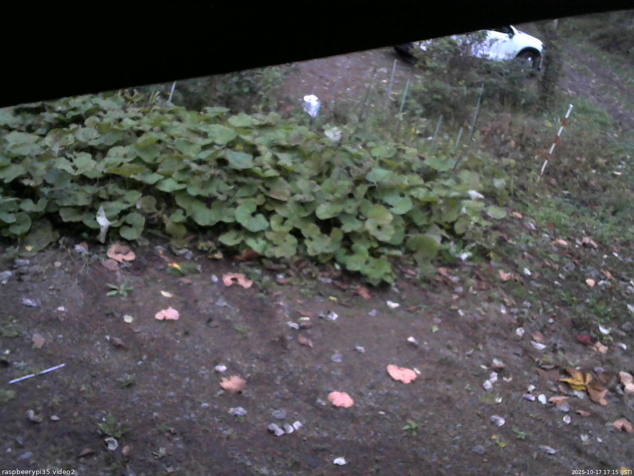 長野県菅平高原 ゆたか山荘 駐車場 2025/10/17 17:15