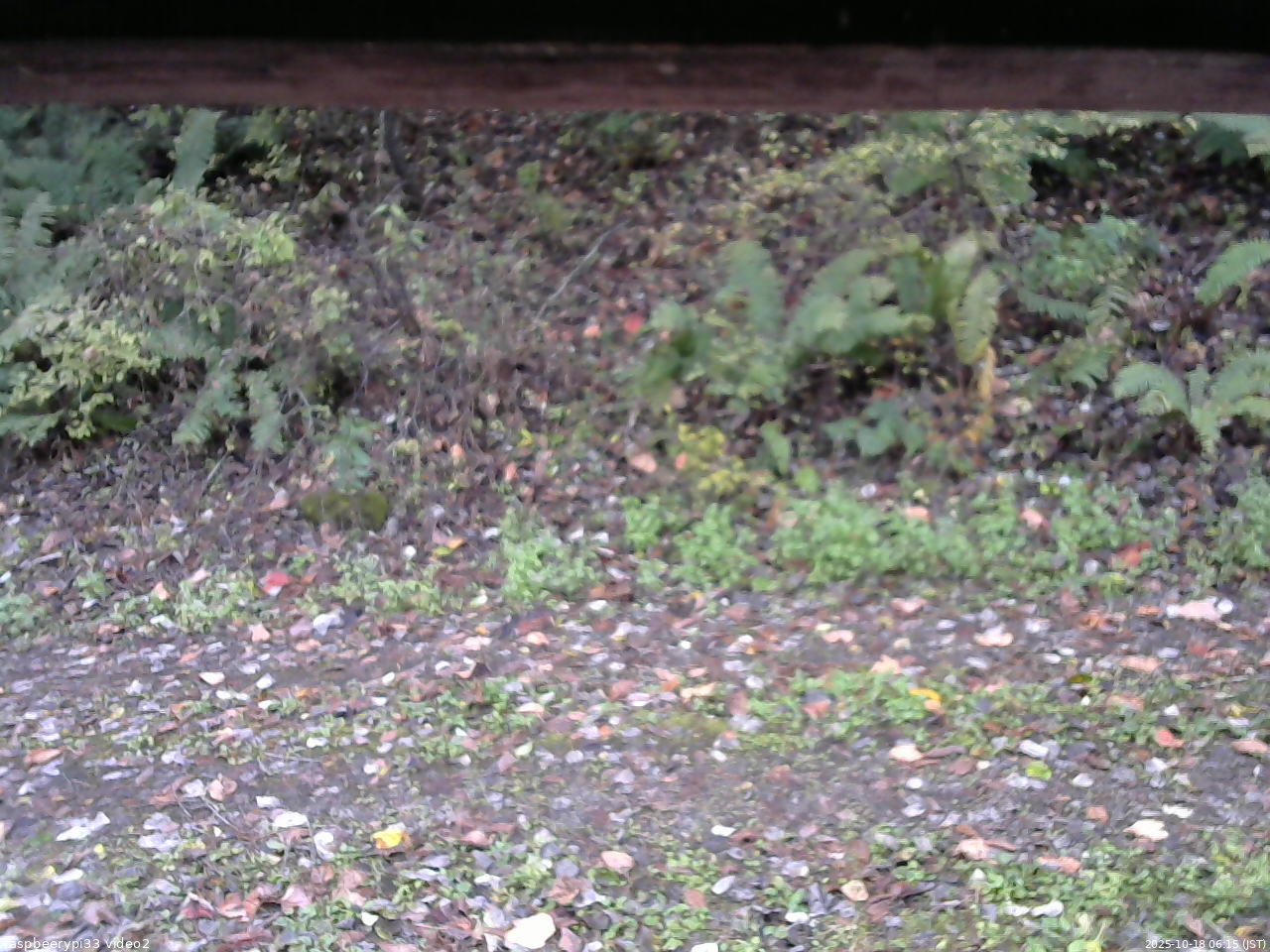長野県菅平高原 ゆたか山荘 南側 2025/10/18 06:15