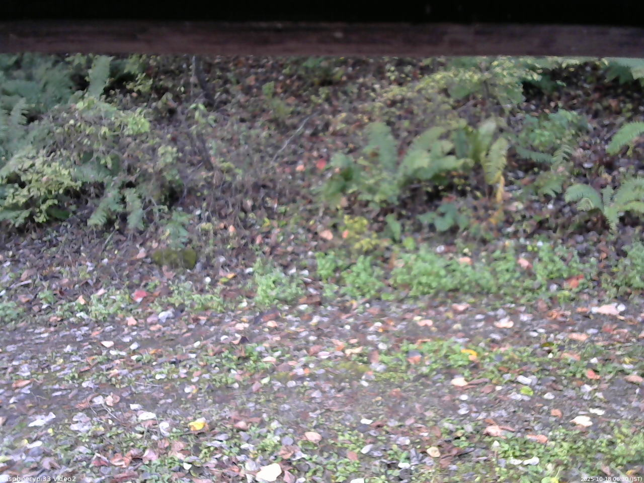 長野県菅平高原 ゆたか山荘 南側 2025/10/18 06:30