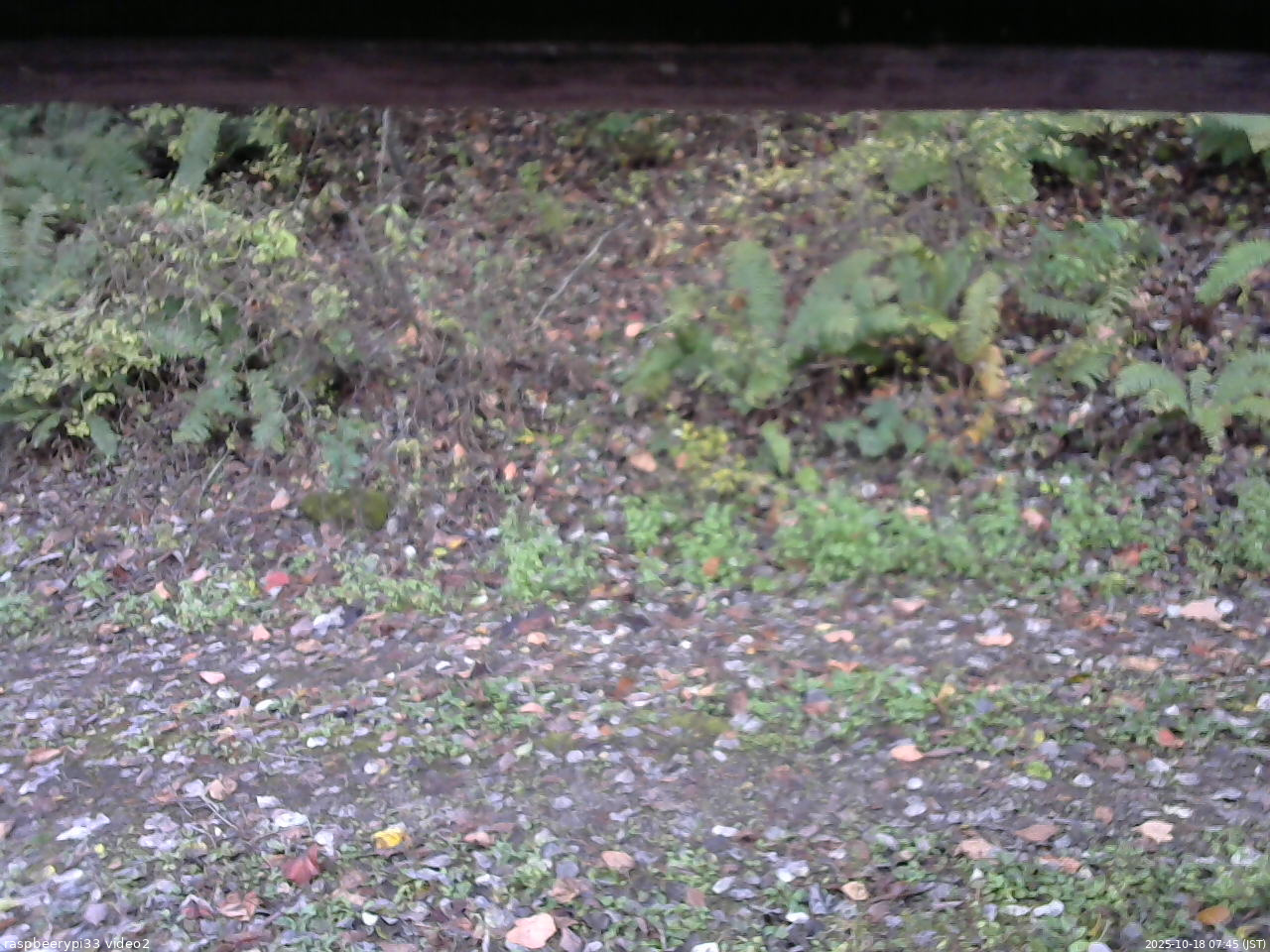 長野県菅平高原 ゆたか山荘 南側 2025/10/18 07:45