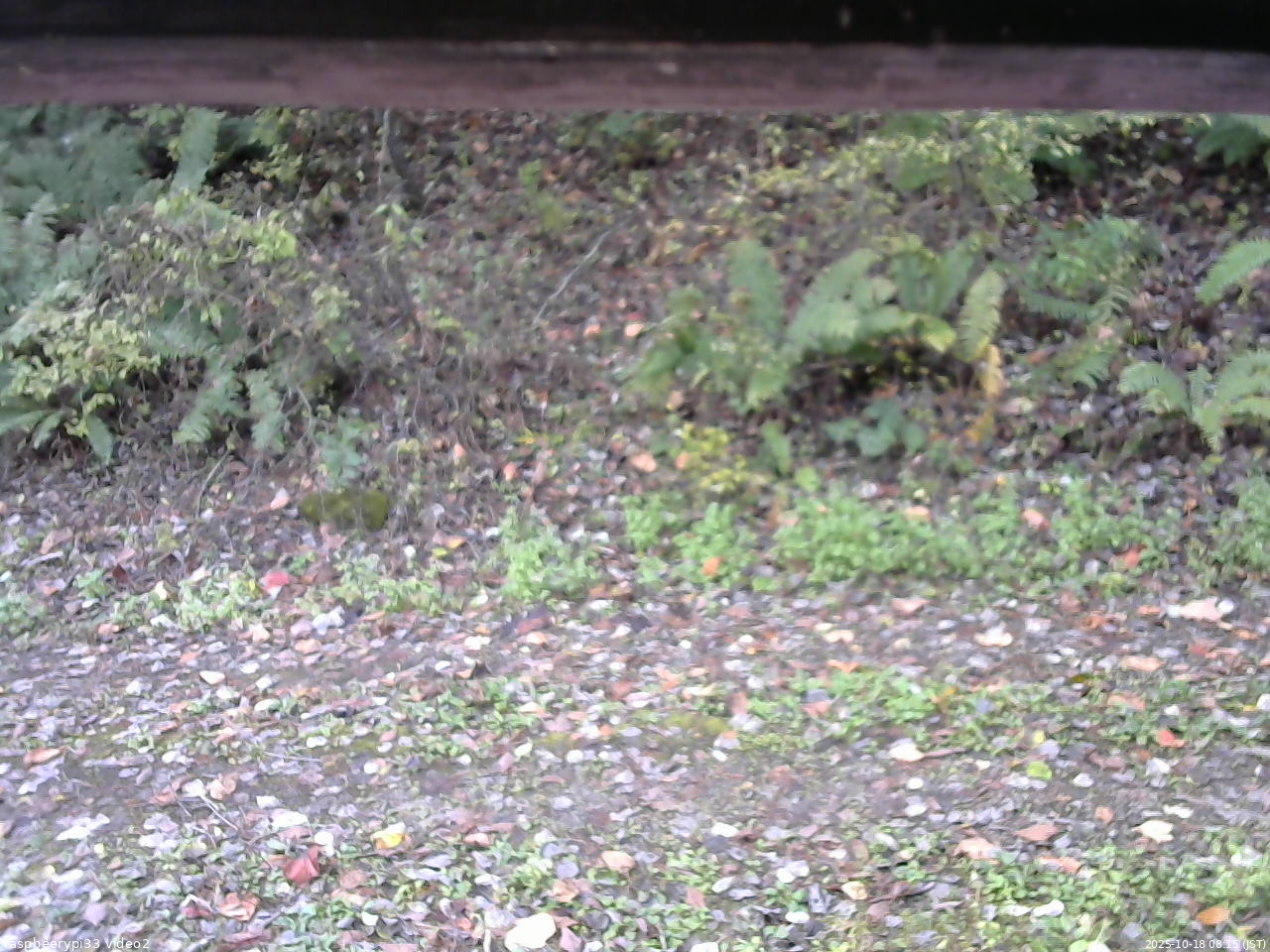長野県菅平高原 ゆたか山荘 南側 2025/10/18 08:15