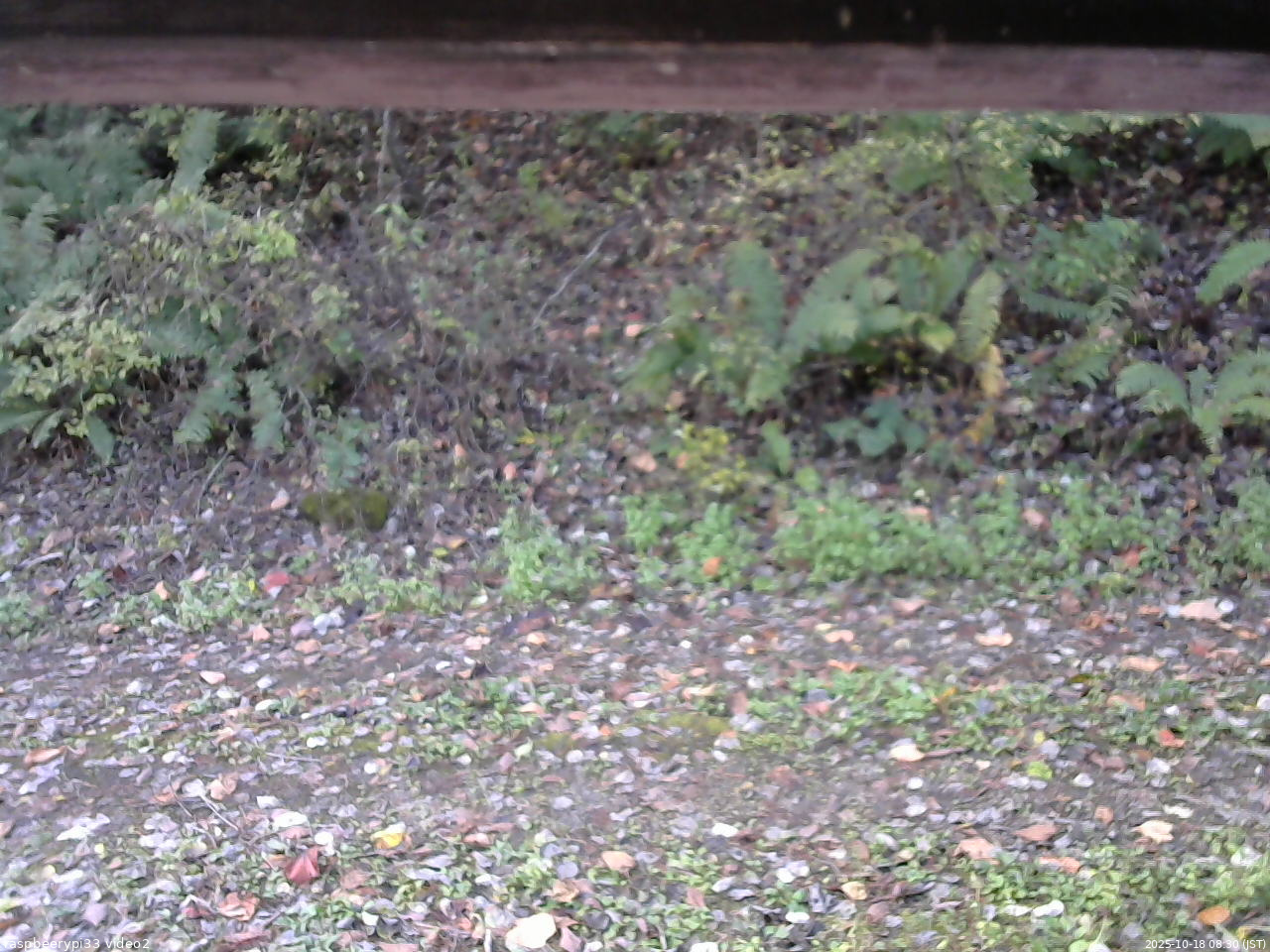 長野県菅平高原 ゆたか山荘 南側 2025/10/18 08:30