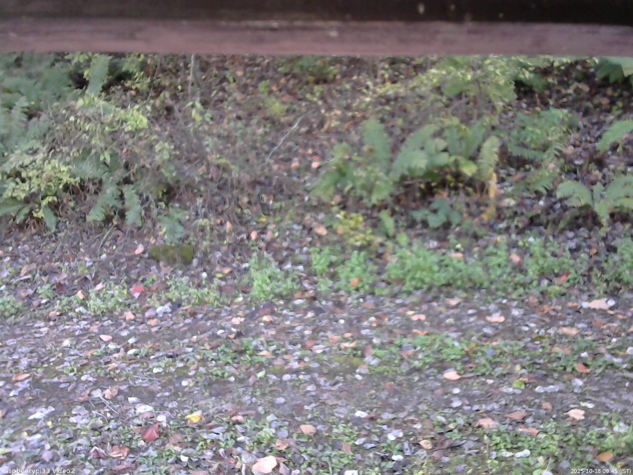 長野県菅平高原 ゆたか山荘 南側 2025/10/18 08:45